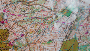JWOC Long Simulation Course