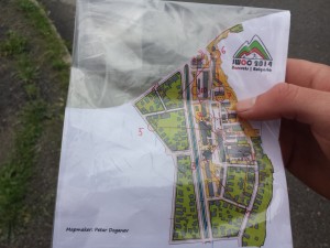 trip photo