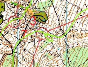 Norwegian Camp Races