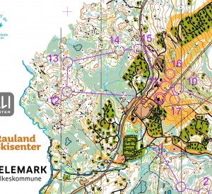 JWOC_2015_Relay_W20_1-extract