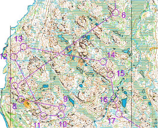 JWOC Long Distance – top 10 for Shamus and Tim