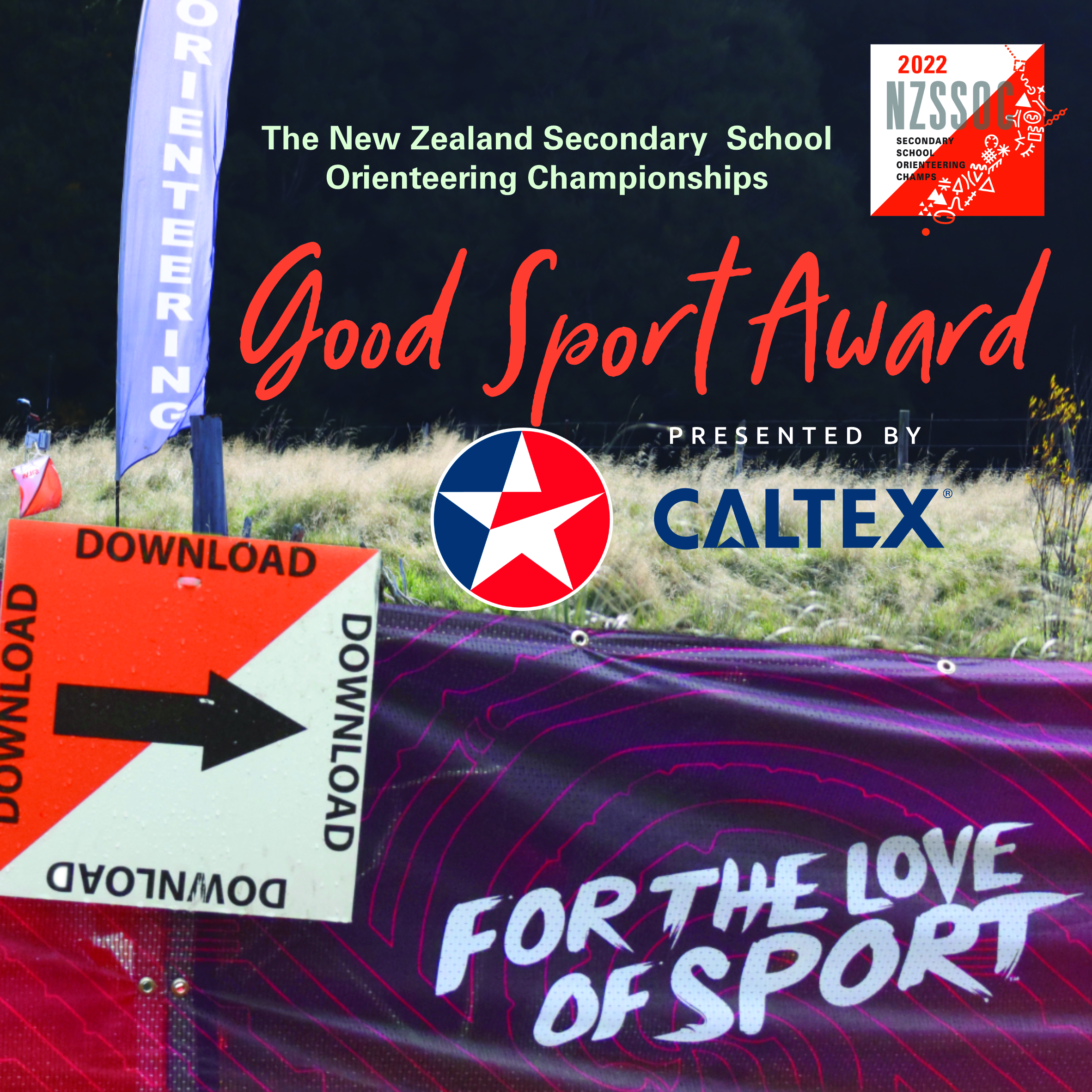 The Good Sport Award