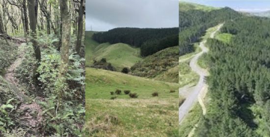 The Classic | 38th endurance event designed for the fittest | 10 November The Classic | 38th endurance event designed for the fittest | 10 November
