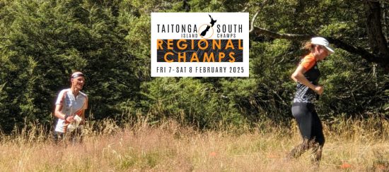 Taitonga (Southern) Champs  | Waikaia beech forest