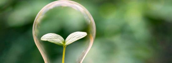 Sustainability Advisory Group named