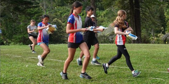 Auckland region  | School series