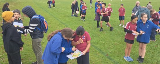 Taupō’s big Day Out | School orienteering Taupō’s big Day Out | School orienteering