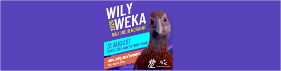 The Weka is back, more Wily than ever!  | 31 August, Cable Bay