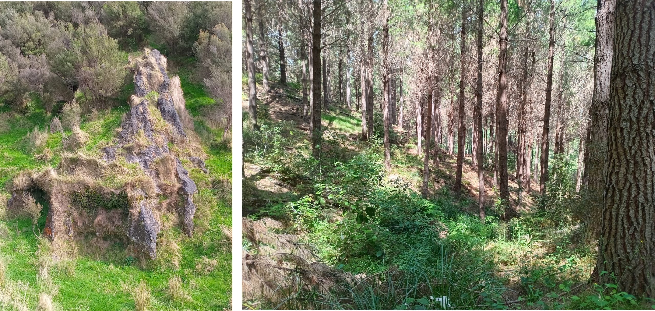 ONZ CHAMPIONSHIPS 2026 – EMBARGOED AREAS