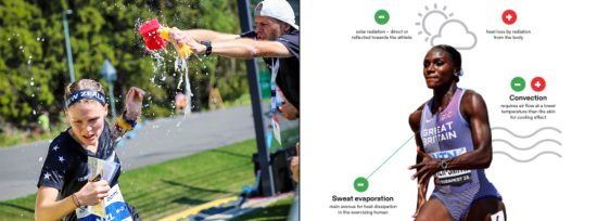 Beat the heat  |  IOF guide to hot weather events
