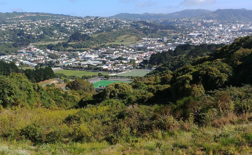 Club Event/Score – Mt Albert
